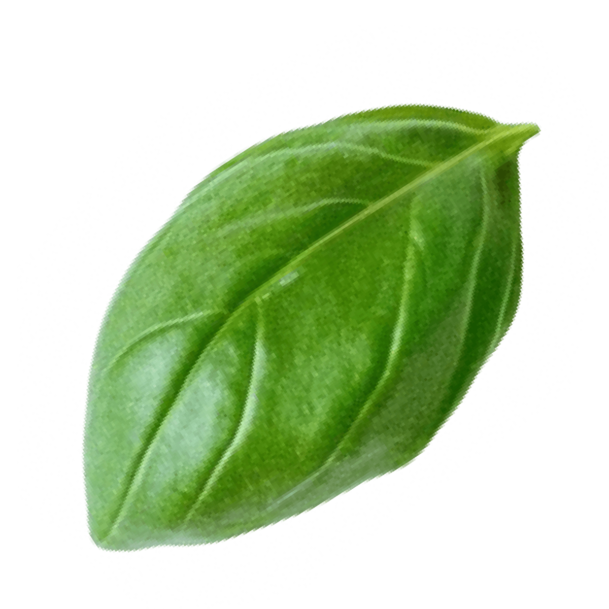 kP2NqpJxzs3mxd89TNdxyZvyms.png