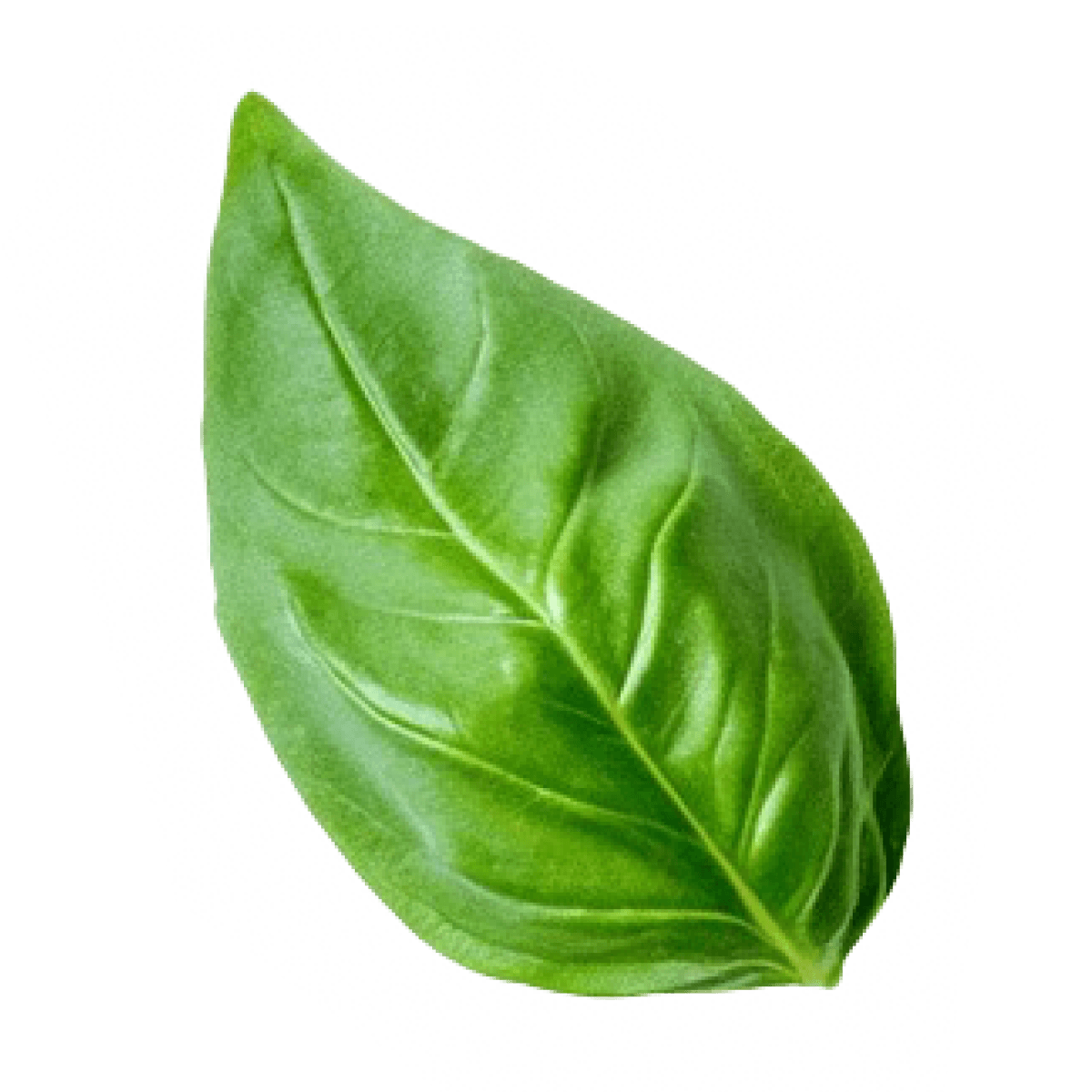 WSIxf52atDWJJfphIQ7KE7eYvM.png